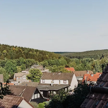 Hexe I - Mit Blick Auf Den Wurmberg